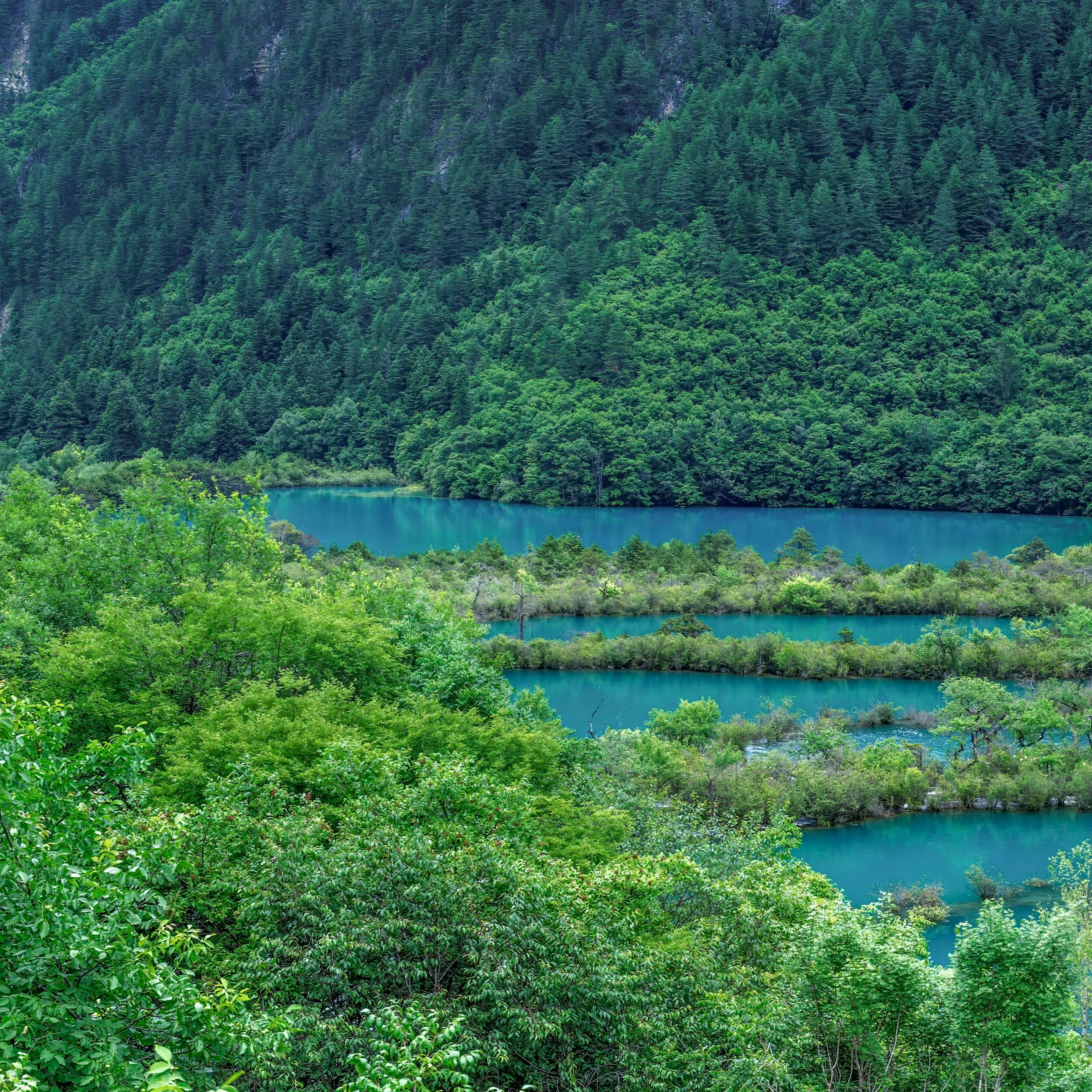 Outdoor wetlands with greenary