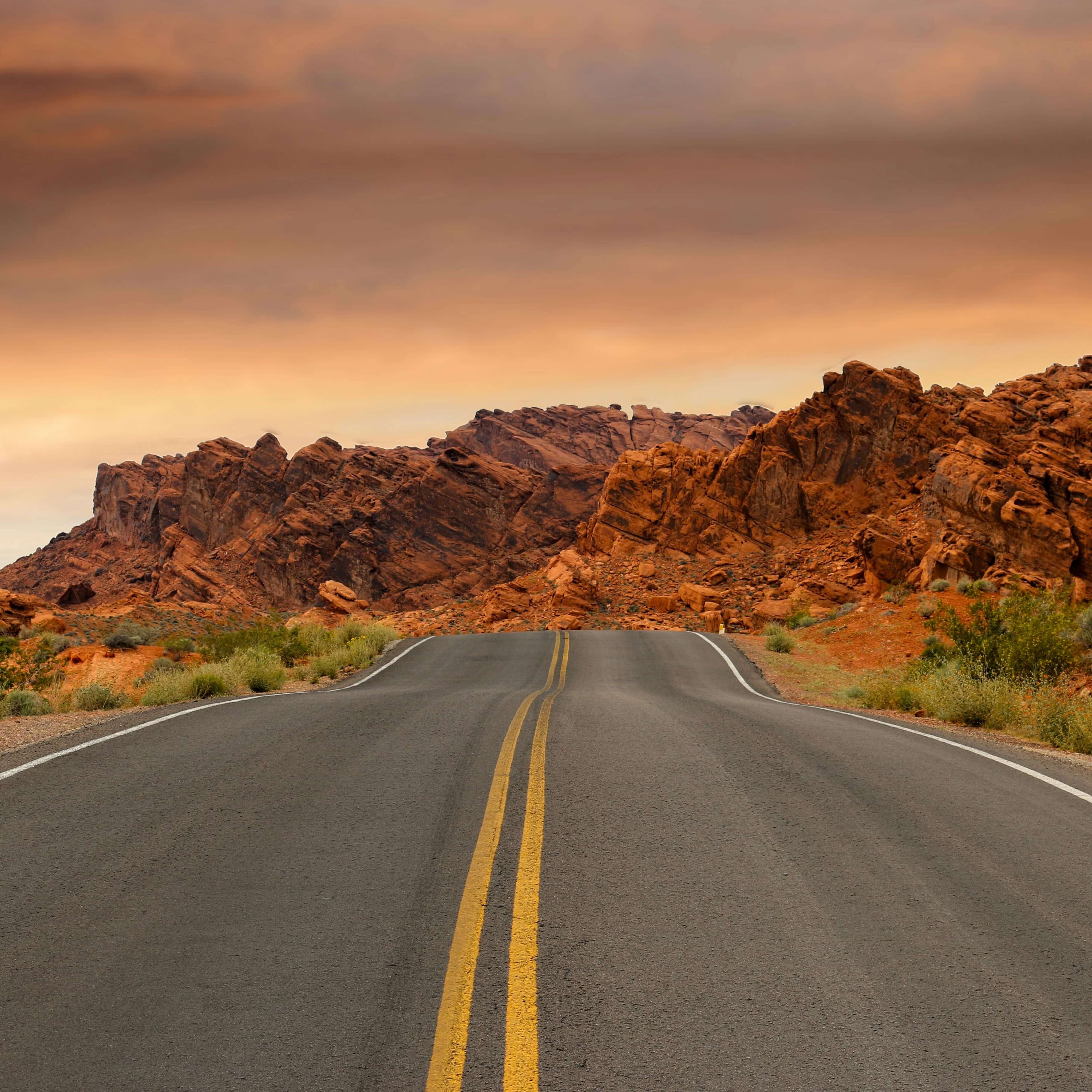 desert highway
